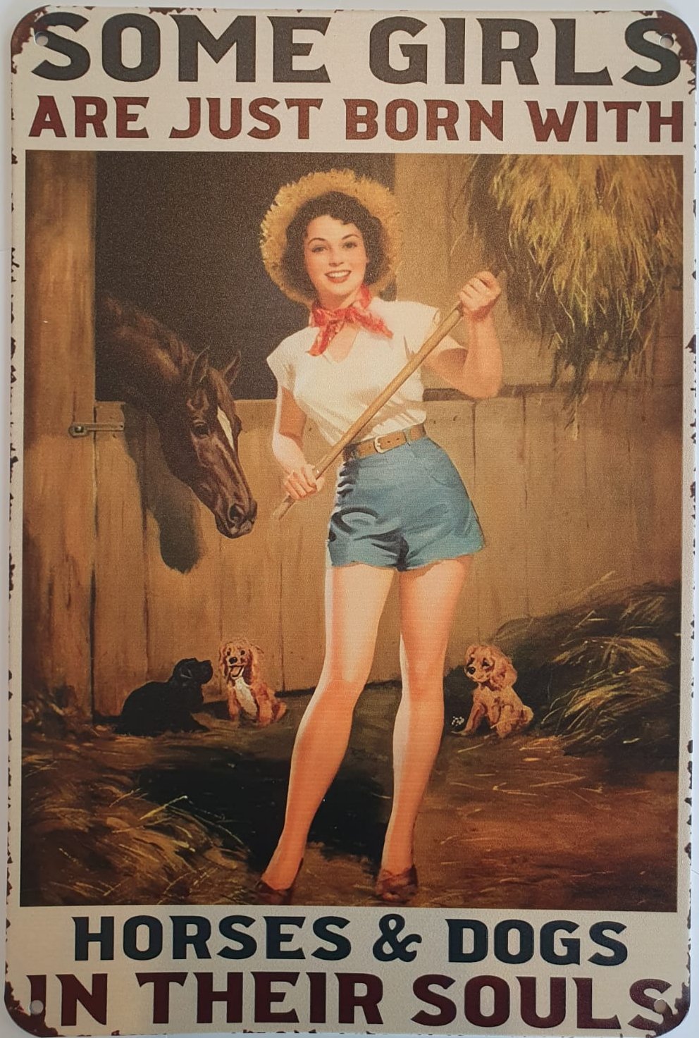 Metal Signs