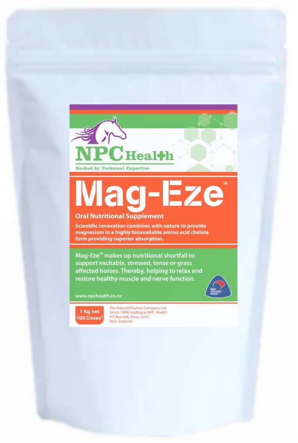 NPC Mag-Eze