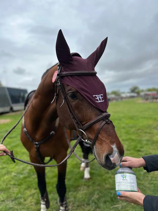 Equestrian Ear Bonnet (Burgundy)